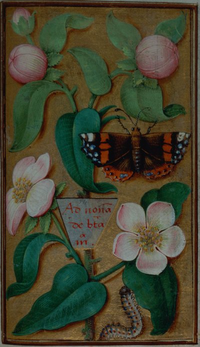 Blumen und Schmetterling, aus einem Stundenbuch, Paris von French School