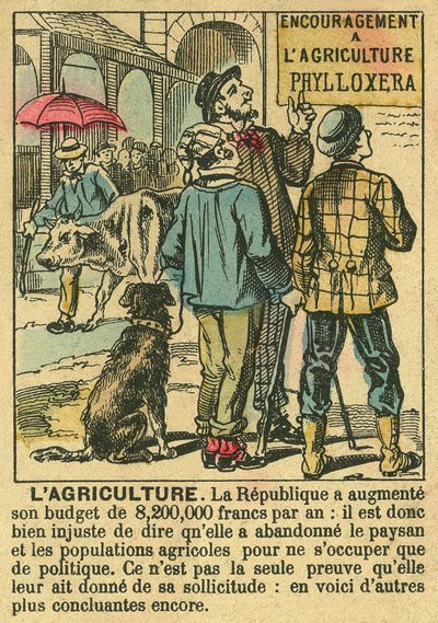 Die Landwirtschaft veranschaulicht die Vorteile der Dritten Republik für landwirtschaftliche Investitionen und ihre Sorge um die bäuerliche Bevölkerung. Gravur in „Le Figaro, Supplement“, am 30.03.1889, Paris. Sammlung Selva. von French School