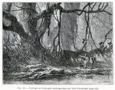 Eine elektrische Telegrafenleitung in einem amerikanischen Wald, ca. 1870 (Stich) von French School