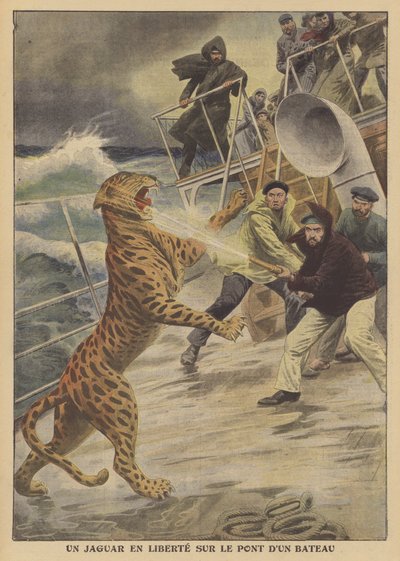 Ein entkommener Jaguar auf einem Schiff von French School