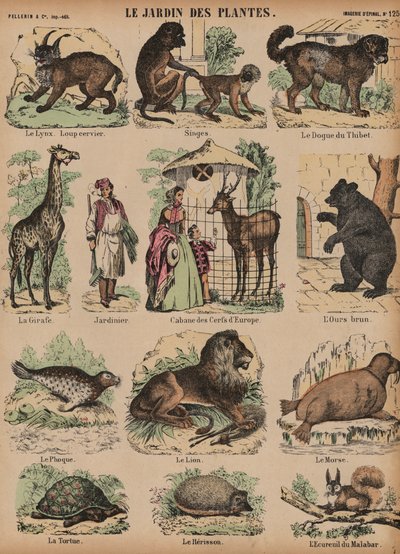 Tiere des Jardin des Plantes, Paris, Frankreich von French School