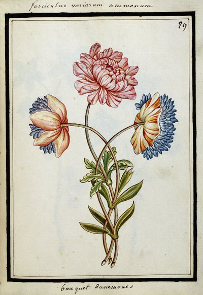 Blumenstrauß aus Anemonen, ca. 1700 von French School