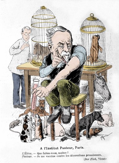 Karikatur des Wissenschaftlers Louis Pasteur, Erfinder des Impfstoffs gegen Tollwut, wie er sich selbst gegen preußische Auszeichnungen impft. Veröffentlicht in „Der Floh“ von French School