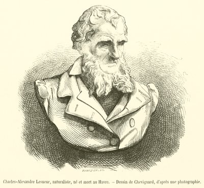 Charles-Alexandre Lesueur, Naturforscher, geboren und gestorben in Le Havre von French School