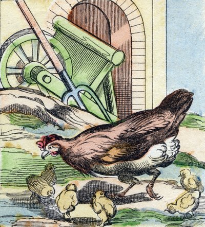 Huhn und Küken. Gravur in "Buffon Alphabet des Oiseaux n 2" von French School
