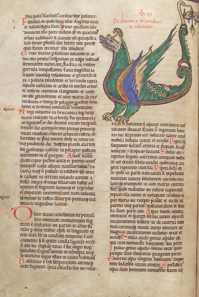 Text mit Illustration eines Drachen, aus Liber Floridus von Lambert de Saint-Omer, ca. 1120 von French School