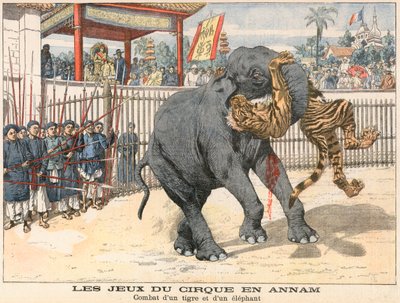 Kampf zwischen einem Tiger und einem Elefanten von French School