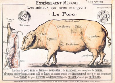 Schweinefleischstücke, Illustration aus einem französischen Haushaltswissenschafts-Handbuch von H. de Puytorac, herausgegeben von Editions Fernand Nathan, Ende des 19. Jahrhunderts von French School
