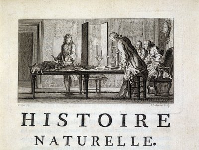 Dissektion der Tiere - in „Histoire naturelle, générale et particulière“ von Buffon von French School