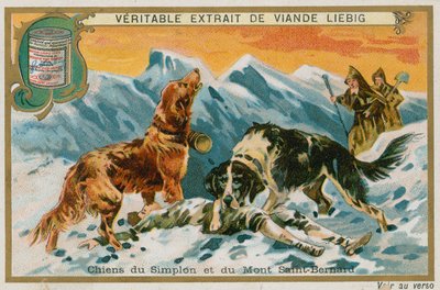 Hunde des Simplon und Mont St. Bernard von French School