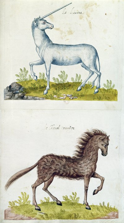 Zeichnungen eines Einhorns und eines Wildpferdes von French School