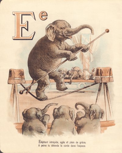 E: Elefant, Akrobat, unerschrockener Elefant, agil und voller Anmut, entspannt kaum das Seil im Raum von French School