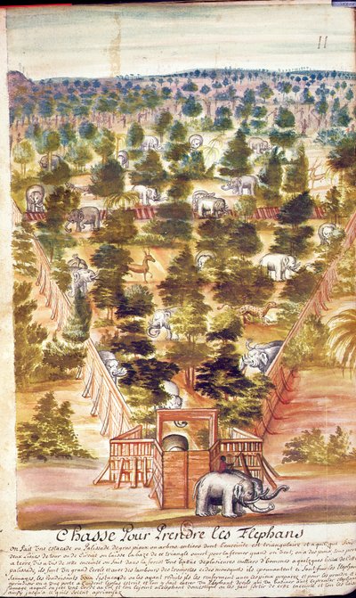 Elefantenjagd in Siam, aus einem Bericht der Jesuiten in Siam, 1688 von French School