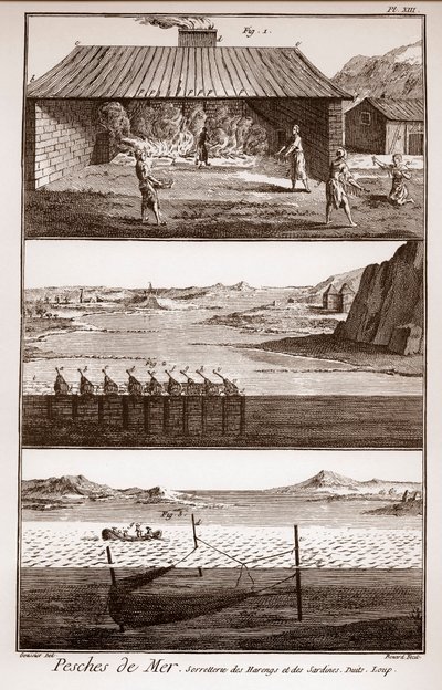 Fischen, Heringe und Sardinen - „La Grande Encyclopedie, ou Dictionnaire Raisonne des Sciences, des Arts et des Metiers“ von Deni von French School