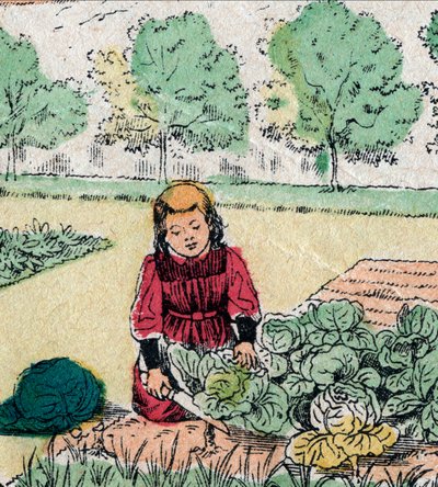 Französischer Glaube: Ein kleines Mädchen, das glaubt, dass Babys in Kohl oder Rosen geboren werden, schneidet die Sprossen eines Gemüsegartens - Epinal-Bild - 19. Jahrhundert von French School