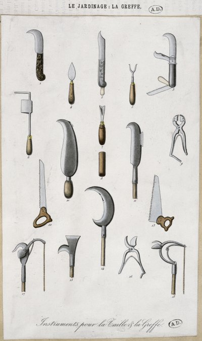 Gartengeräte zum Pfropfen und Beschneiden von French School