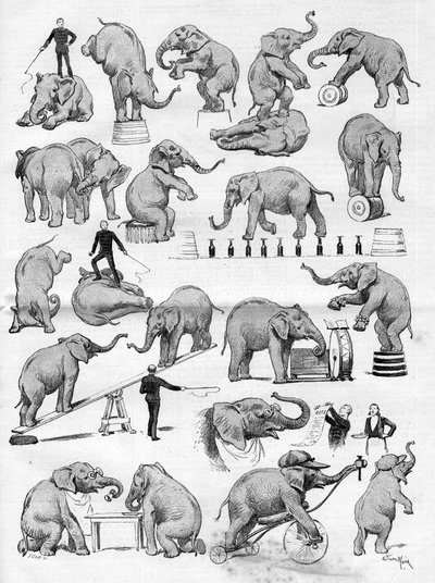 Geo Lockarts Zirkus, berühmt für seine Elefanten, im Hippodrom von Paris, in „Die Illustrierte Welt“ von French School