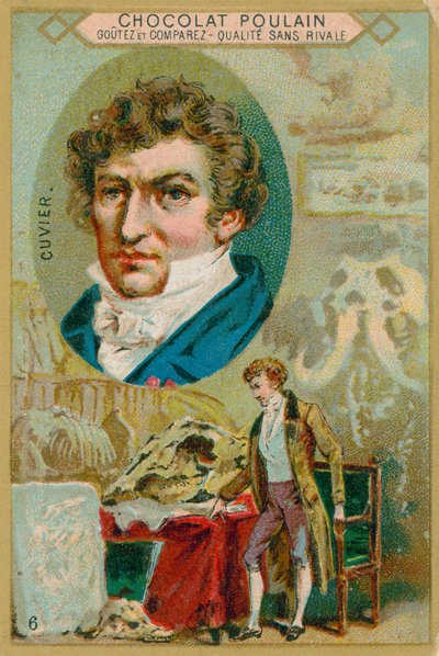 Georges Cuvier von French School