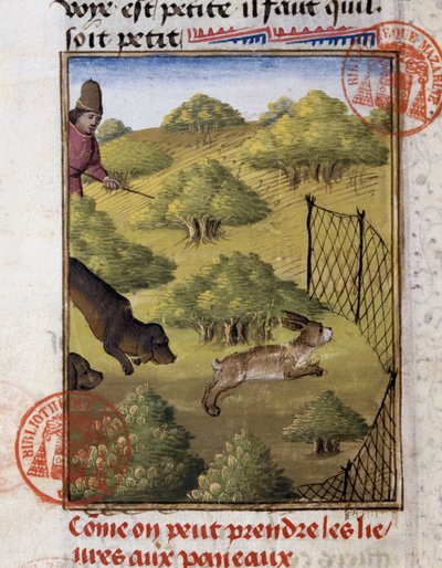 Hasenjagd - in „Jagd Buch von Gaston Phoebus, Graf von Foix, Herr von Béarn“ von French School