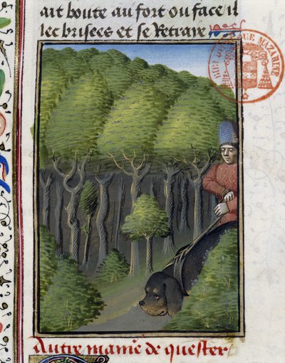 Jagdhund - im „Jagd-Buch von Gaston Phoebus, Graf von Foix, Herr von Béarn“ von French School