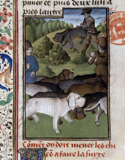 Jagdhunde - in „Jagd Buch von Gaston Phoebus, Graf von Foix, Herr von Béarn“ von French School