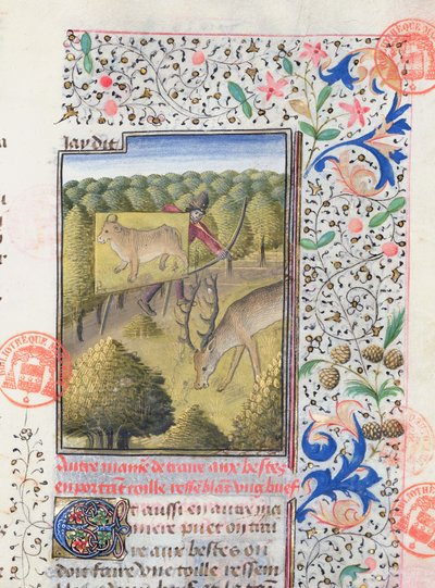 Jäger versteckt sich hinter einem Lockvogel bei der Jagd auf einen Hirsch, aus dem Livre de la Chasse von Gaston Phebus de Foix (1331-91) von French School