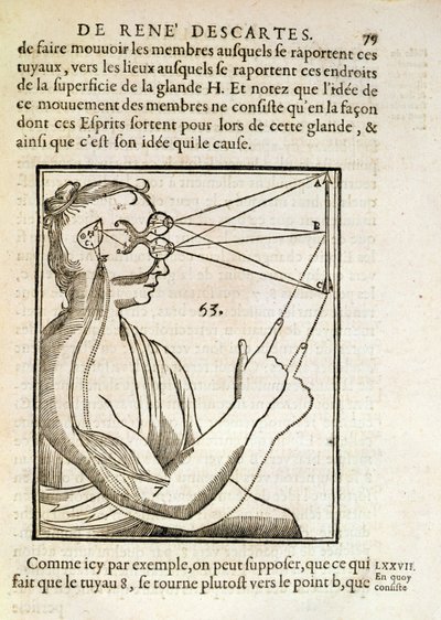 Illustration aus De Homine Figuris von Rene Descartes, veröffentlicht in Den Haag, 1662 von French School