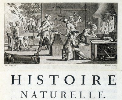 Innenansicht einer Schmiede - in „Naturgeschichte, allgemein und besonders“ von Buffon von French School