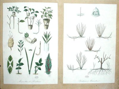 Schichten und Schnitte von French School