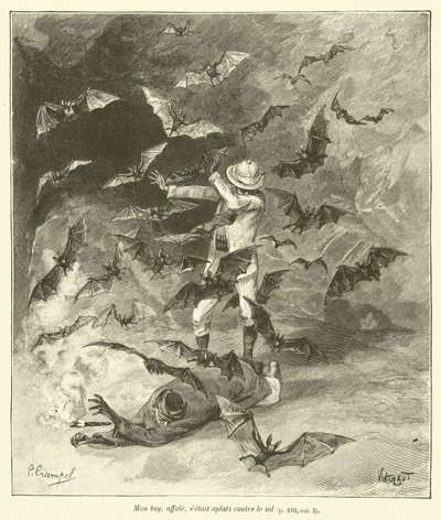 Die Höhlen von Tham-Tai (Gravur) von French School