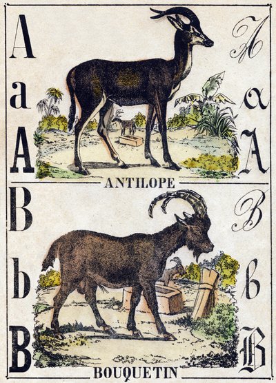 Buchstabe A Antilope; B Steinbock. Gravur in "Alphabet der wilden Tiere". 9. Serie. Bildersammlung von Epinal, Pellerin, Drucker-Verleger, um 1870 von French School