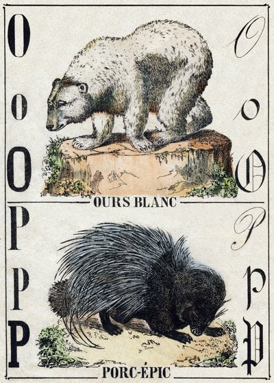 Buchstabe O Bär; P Stachelschwein. Gravur in "Alphabet des animaux sauvages". 9. Serie. Bilder von Epinal, Pellerin, Drucker-Verleger, um 1870. Holzschnitte, schabloniert. 16 Seiten. Dim: 20 x 15 cm. Private Sammlung. von French School