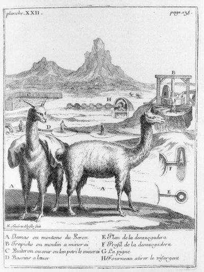 Lamas und Diagramme zur Mineralgewinnung, aus Relation du voyage de la mer du sud aux cotes du Chily et du Perou von A.F. Frezier, 1716 von French School