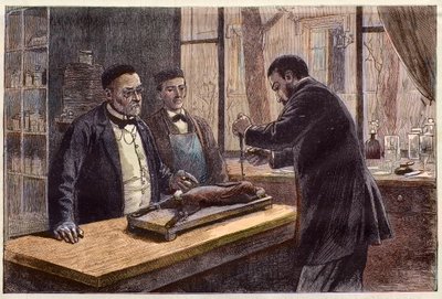 Louis Pasteur (1822-1895), französischer Chemiker und Mikrobiologe, experimentiert an einem chloroformierten Kaninchen während seiner Suche nach einem Tollwutheilmittel von French School