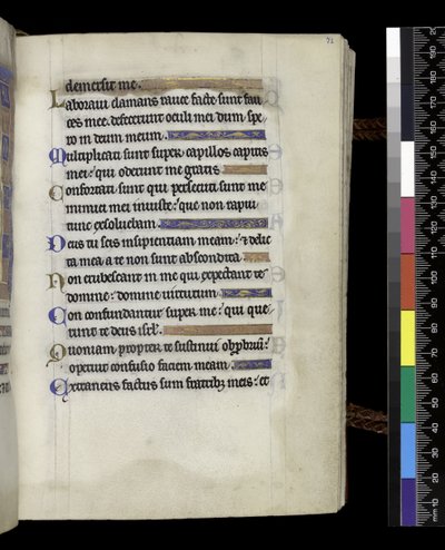aus dem Psalter und Stundenbuch von Isabella von Frankreich, Paris, ca. 1265-70 von French School