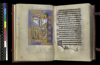 Aus dem Psalter und Stundenbuch der Isabella von Frankreich, Paris, ca. 1265-70 von French School