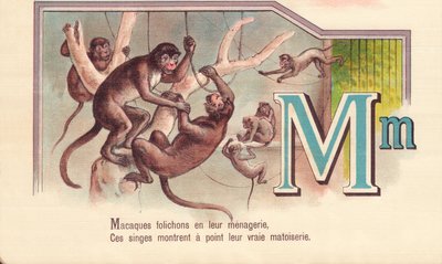 M: Makaken in ihrer Menagerie, diese Affen zeigen ihre wahre List von French School
