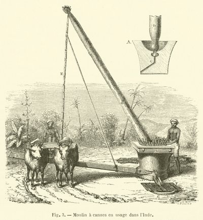 Zuckerrohrmühle in Gebrauch in Indien von French School