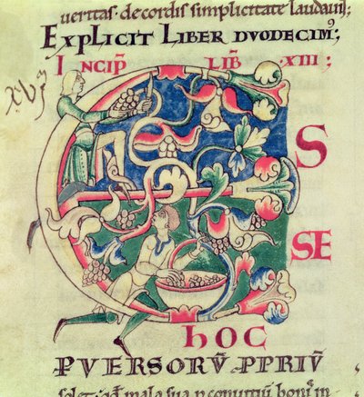 Ms 173 f.32 Historisierte Initiale E, die die Weinlese darstellt, aus Moralia in Job von Papst Gregor dem Großen von French School