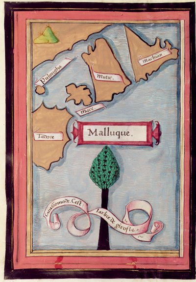 Karte der Gewürzinseln aus einem Bericht über die Reise von Ferdinand Magellan von French School