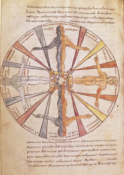 Ms 422 fol.6v Rad der Jahreszeiten und Monate, aus De Natura Rerum von St. Isidor von Sevilla von French School