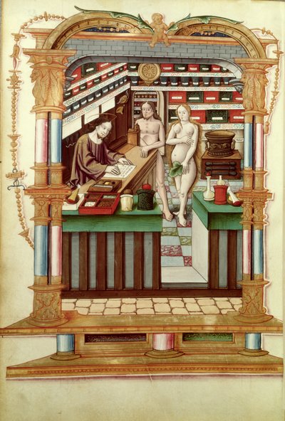 Ms Fr 1537 Christus der Apotheker mit Adam und Eva, aus Chants royaux sur la Conception couronnee du Puy de Rouen von French School