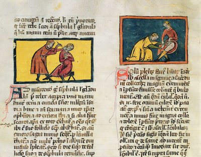 Ms H 89 Ärzte heilen die Kranken, aus einer Ausgabe des Buches der Chirurgie von Rogier de Salerne von French School