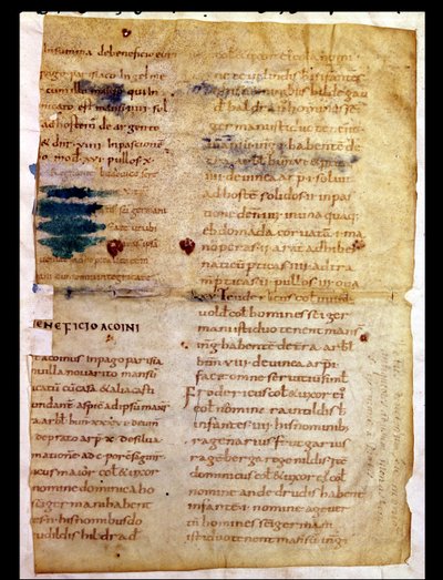 Inventar des karolingischen Grundbesitzes, aus dem Polyptychon des Abtes Irminon von Saint-Germain-des-Pres von French School