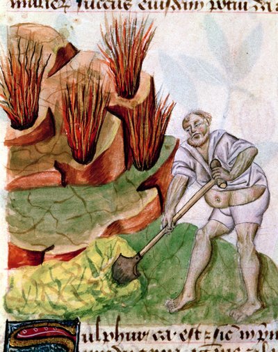 Auf der Suche nach Schwefel, aus Dioscorides De Herbis von French School