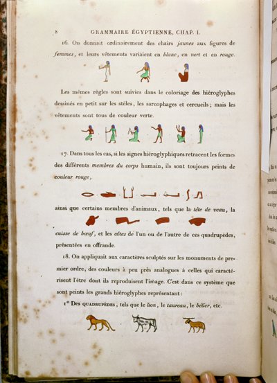Notizen zur Färbung bestimmter Hieroglyphen, aus Grammaire Egyptienne von Jean Francois Champollion, 1836 von French School