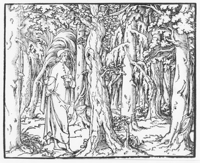 Seite aus "Discours du Songe de Poliphile" von Francesco Colonna, 1546 von French School