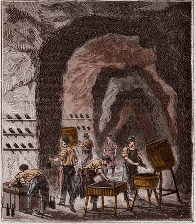 Herstellung von Champagner - Gravur in „Wissenschaften für jedermann - Physik und Chemie“ von Alexis Clerc - Ende des 19. Jahrhunderts - Private Sammlung von French School