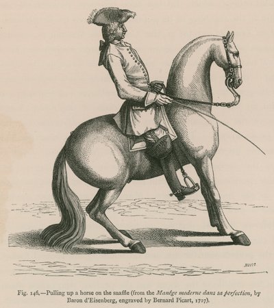 Ein Pferd am Zügel hochziehen (aus Manege moderne dans sa perfection, von Baron d