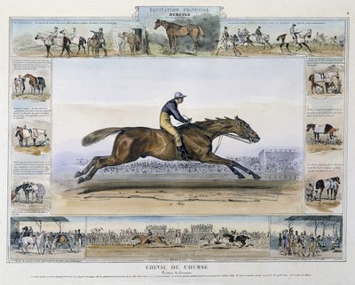 Rennpferd in „Bildergeschichte des alten und modernen Reitens“ von Charles Aubry von French School